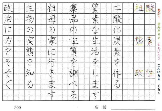 五年生の漢字の書き順 酸 素 性 祖 態 政 因 寄 慣 興 移 常 旅行と習字を楽しむ